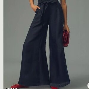 NWT - Anthropologie Black Lined Silk Organza Wide-Leg Pants Size 10